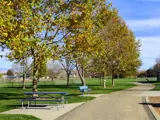 Pathway in park